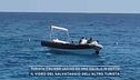 Turista italiano ucciso da uno squalo in Egitto