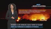 Incendi a Los Angeles, quali sono le cause?
