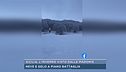 Sicilia, l'inverno visto dalle Madonie