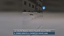 La volpe rossa che si muove sulla neve