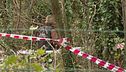 Cosenza, neonata rapita in ospedale. Svolta per Liliana Resinovich. Pierina Paganelli: udienza chiave