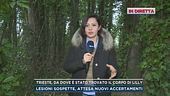 Trieste, da dove è stato trovato il corpo di Lilly Resinovich