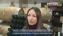 Verona, la storia di Noemi che gestisce una cantina