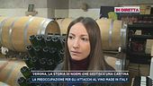 Verona, la storia di Noemi che gestisce una cantina