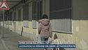 Bimba uccisa dal pitbull, tutto quello che non torna