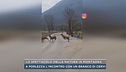 Lo spettacolo della natura in montagna