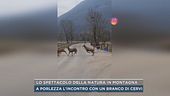Lo spettacolo della natura in montagna