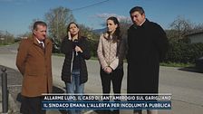 Allarme lupo in Ciociaria, il caso di Sant'Ambrogio sul Garigliano