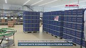 Gli Stati Uniti chiedono le uova all'Italia per Pasqua