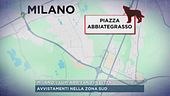 Milano, i lupi arrivano in città