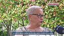 Lilly Resinovich, il giallo dei 20mila euro "nascosti" di Sebastiano