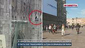 Milano, la ricostruzione delle ultime ore di Emanuele De Maria