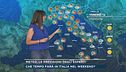 Meteo, le previsioni degli esperti