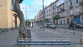 Banali liti che possono sfociare nel sangue