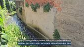 Delitto Garlasco, gli oggetti ripescati nel canale di Tromello
