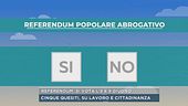 Referendum, si vota l'8 e 9 giugno