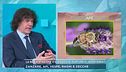La bella stagione e il rischio di punture di invertebrati