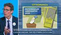 Referendum 8-9 giugno: quesito 5 sulla cittadinanza italiana