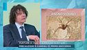 Punture di insetti e meduse in estate