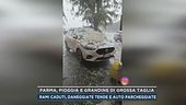 Parma, pioggia e grandine di grossa taglia