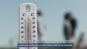 Arriva il grande caldo con afa e picchi fino a 40°C