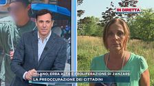 Milano, erba alta e proliferazione di zanzare