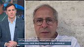 Lotta alle zanzare: l'importanza delle disinfestazioni
