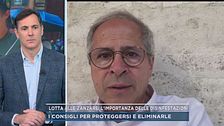 Lotta alle zanzare: l'importanza delle disinfestazioni