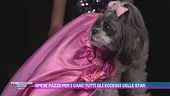 Spese pazze per i cani: tutti gli eccessi delle star