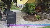 Neonati Parma, Chiara agli arresti domiciliari