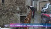 Giallo di Garzeno: chi ha ucciso Candido Montini?
