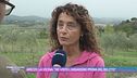 Arezzo, la vicina: "Ho visto l'assassino prima del delitto"