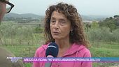 Arezzo, la vicina: "Ho visto l'assassino prima del delitto"