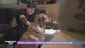 Gabriella, malata e con un cane: nessuno vuole affittarle casa
