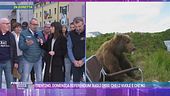 Trentino, domenica referendum sugli orsi: chi li vuole e chi no