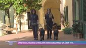 Cani guida, quando il migliore amico dell'uomo salva la vita
