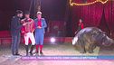 Circo Orfei, tradizione e novità: come cambia lo spettacolo