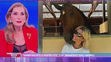 "Hanno salvato le nostre vite", i vip innamorati degli animali