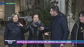 Napoli, sventato il furto dell'albero di Natale