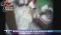 Anziani picchiati nella Rsa: il video dei maltrattamenti