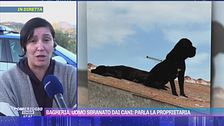 Bagheria, uomo sbranato dai cani: parla la proprietaria