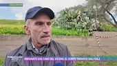 Sbranato dai cani dei vicino: il corpo trovato dai figli