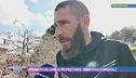 Sbranato dai cani, il proprietario: "Sono stati i cinghiali"