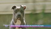 Bimba sbranata: cosa non torna nel racconto del padre