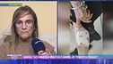 Maria: "Azzannata a braccia e gambe, ho temuto il peggio"