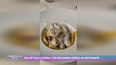 Dal set alla cucina: i vip che hanno aperto un ristorante