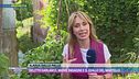 Delitto Garlasco, nuove indagini e il giallo del martello