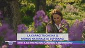 Kate e il suo anno più duro: "La natura è il mio santuario"