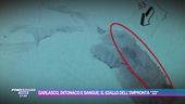 Garlasco, intonaco e sangue: il giallo dell'impronta "33"