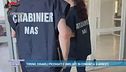 Torino, disabili picchiati e umiliati in comunità: 8 arresti